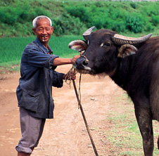 小型飼料顆粒機(jī),農(nóng)民圓夢(mèng)！